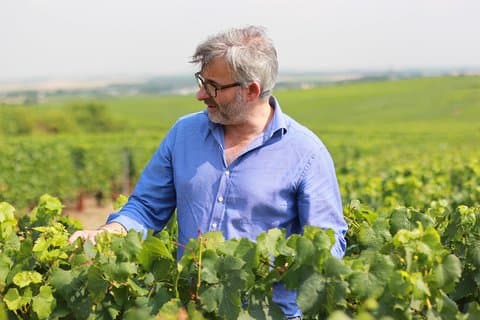 Magic trip in the Champagne region with private wine expert