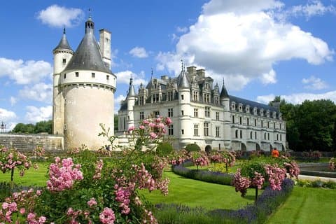 Loire Valley in 1 Day from Paris