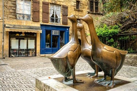 Gooses of Sarlat