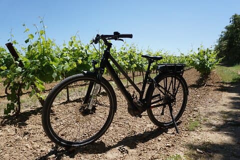 The Carrières de Lumières by bike for half-day