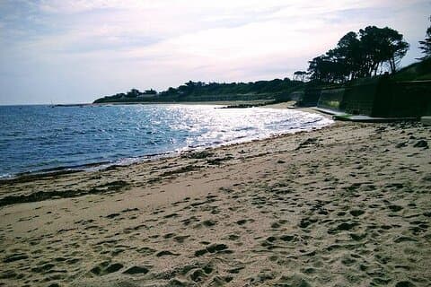 Nature walk to discover Noirmoutier and its charms
