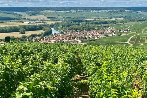 Moet et Chandon Pommery Pressoria Champagne Private trip