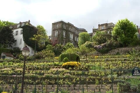 The Winegrowers’ Rally in Montmartre