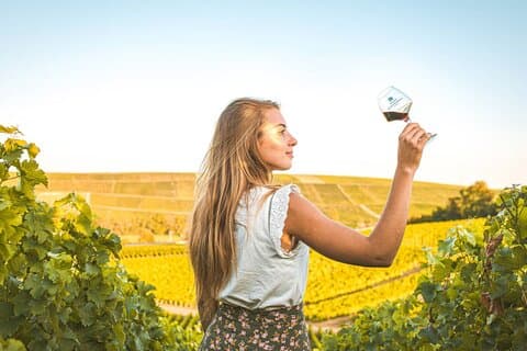 Sancerre Private Wine Day from Paris with 10 Tastings & Lunch