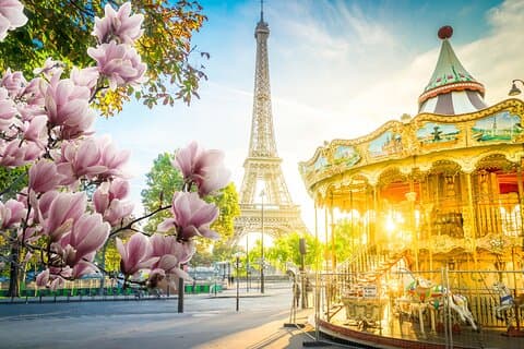 Paris Must Sees from Le Havre including River Cruise & Notre-Dame