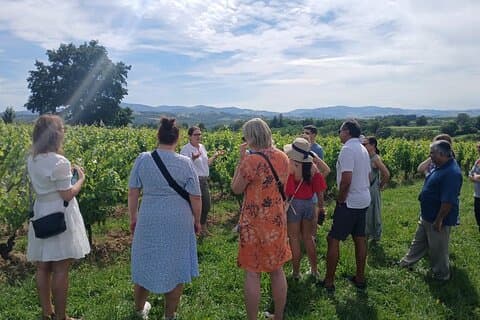 Meet the winemaker