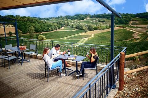 Saint-Emilion Grand Cru Classé: Gourmet Visit in English