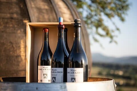 Evening in the middle of the vineyards with panoramic views!