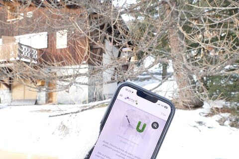 Urban game in the theme of magic at the Arcs 1800