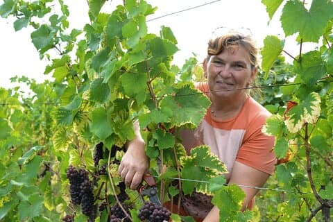 Dare the wine with a feminin touch