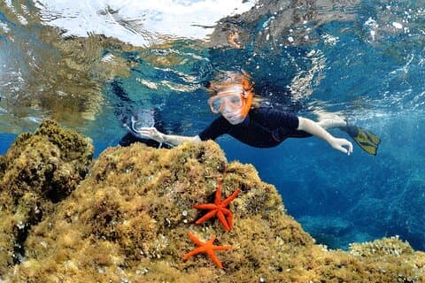 Snorkeling Tour Gulf Calvi