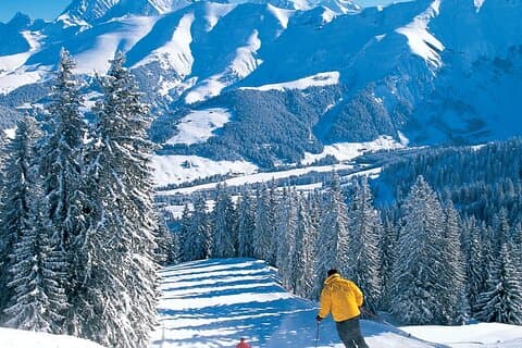Megève to Zermatt (Tasch) one way Private Transfer