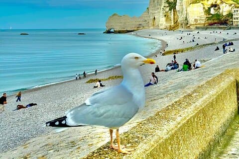 Day Trip from Paris Rouen Etretat and Deauville