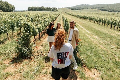 Classic visit and tasting of 3 wines