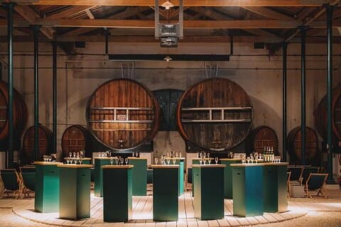 Maison Noilly Prat VIP tour, wine and vermouth tastings