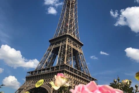 Crash Course to Paris: A Survival Guide for First Time Visitors