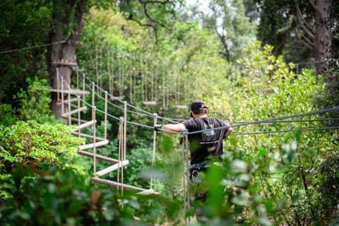 Marseilles Ecopark Adventure tree park