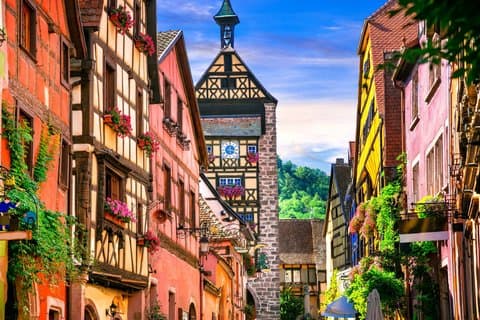 Alsace Villages & Winery: Half Day Private Tour from Colmar