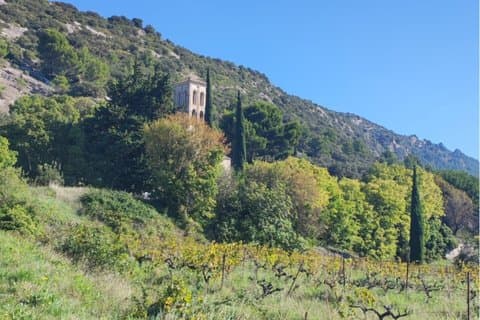 Guided Small Group Walk in the Vaucluse