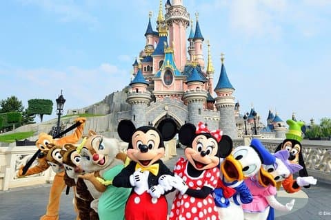 Disneyland Paris Private Transfer to or from CDG, Orly or Paris