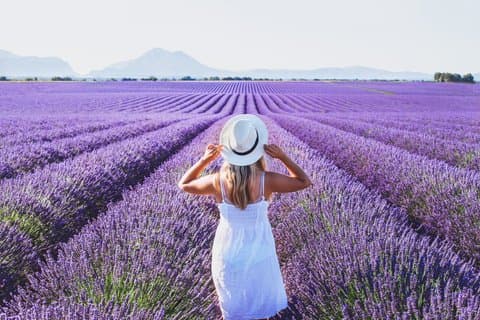 Private Shore Tour:Lavender Fields & Local Flavors from Marseille