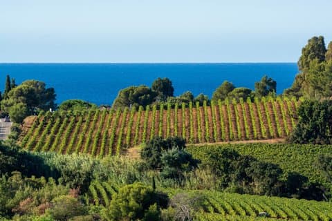 Private Shore Tour: Provence Wine Tasting & Scenic Villages