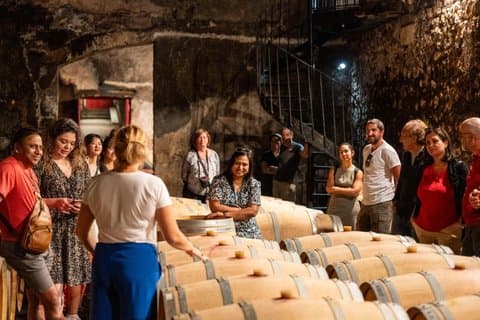 Médoc Wine Tour from Bordeaux Châteaux Visits and Tastings