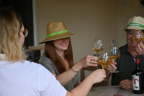 Explore Authentic Tasting Organic Wines Bordeaux