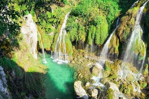 Discover Our Fields and Lake Full-Day Shared Tour from Nice