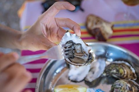 Private Half Day Wine and Oyster Tasting Tour from Cap d'Agde