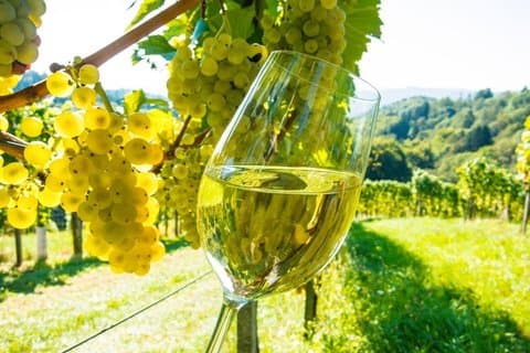 Nice to Antibes St Paul de Vence Private Wine Tour