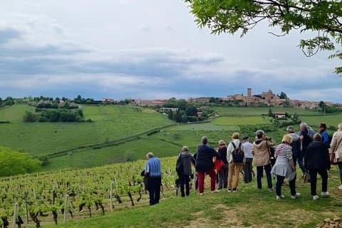 Beaujolais Wine Tour Golden Stones