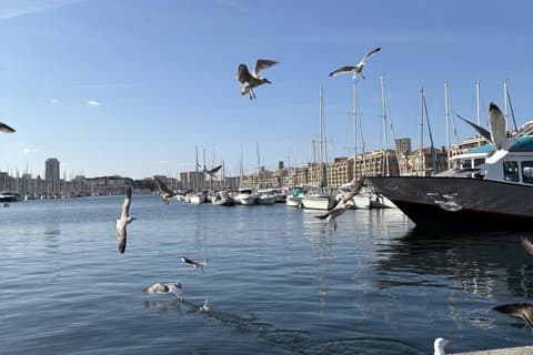 Guided tour in the heart of Marseille