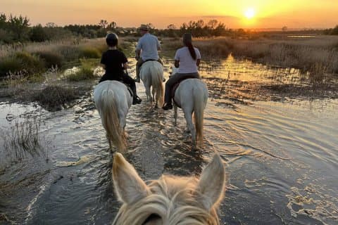 Romantic Sunset Nature Ride on Horseback in the Camargue