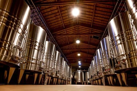 Cellar Master Visit, Château Mangot Grand Cru Classé St-Emilion