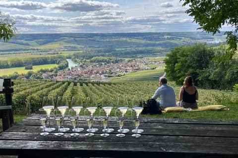 Small Group Champagne Tour from Paris, Tastings and Hotel Pickup