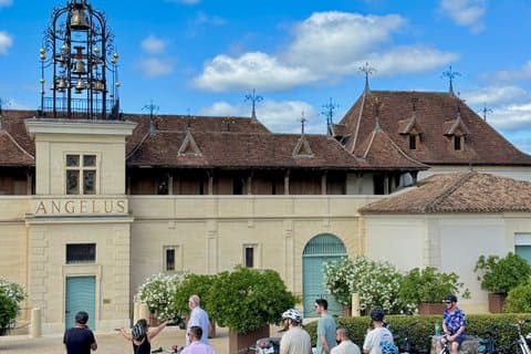 "Explore Saint-Émilion on e-Bikes: Small Group, half-Day Tour"