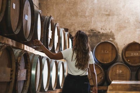 Visit of the cellar