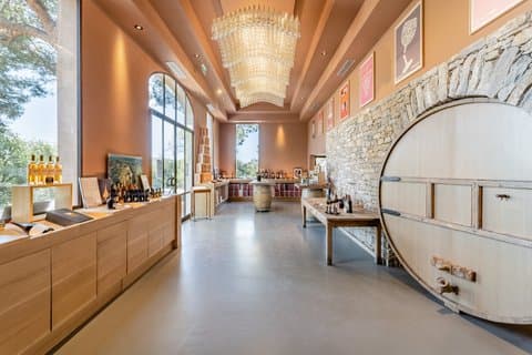 Guided tour and discovery of our wines