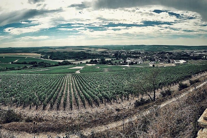 Wine Tour