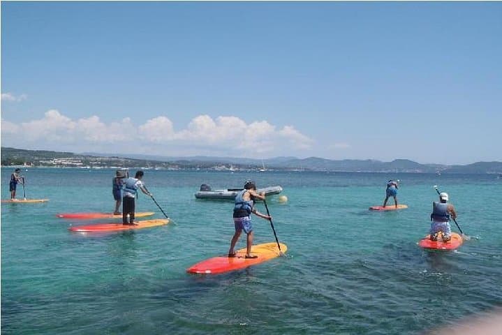 Stand up paddle