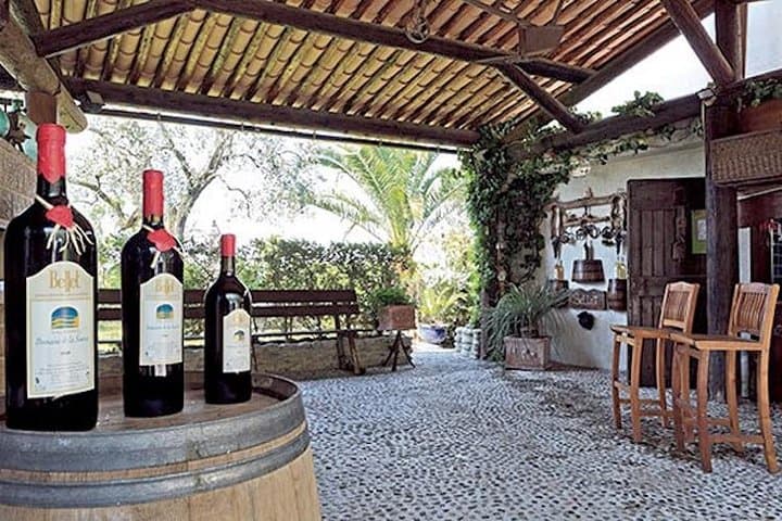 DOMAINE DE LA SOURCE