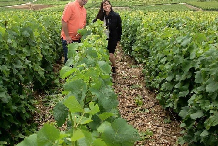 Champagne Tour from Paris: Moet and Chandon, Hautvillers and the House of Mumm