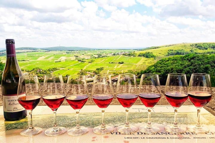Private Wine tour to Loire Valley vineyards from Paris