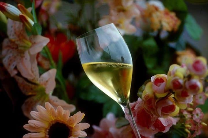 Enjoy a Private Tour in the Champagne Region