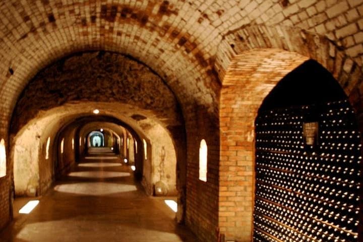 Magic VIP trip in the Champagne region with your private local guide