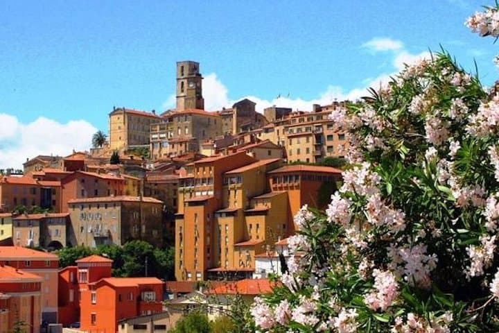 Italian Riviera and French Coastal Gems: A Private Tour from Nice