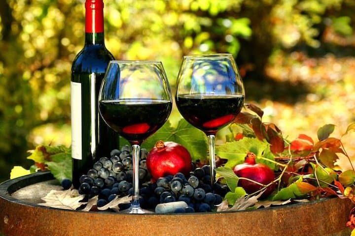 Capital city of the French Riviera Nice and the wine tour