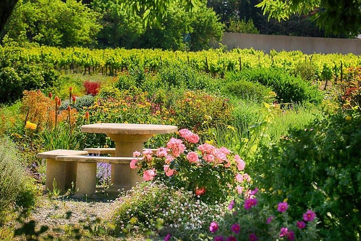 Winery Tour & Wine Tasting - Deli Plate & 3 Wines