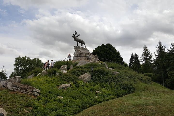 Full-Day Canadian WW1 Vimy and Somme Battlefield Tour from Arras